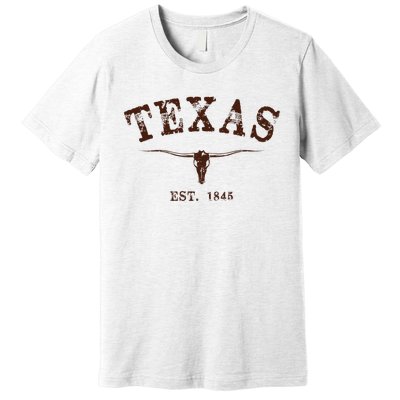 Distressed Texas State Premium T-Shirt