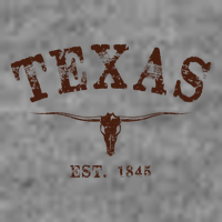 Distressed Texas State 7-Panel Snapback Hat