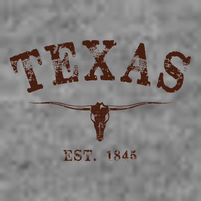 Distressed Texas State 7-Panel Snapback Hat