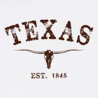 Distressed Texas State Sustainable Bucket Hat