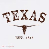 Distressed Texas State Poster