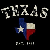 Distressed Texas State Flag Map 16 in Basic Backpack