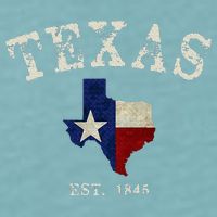 Distressed Texas State Flag Map Sueded Cloud Jersey T-Shirt