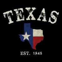 Distressed Texas State Flag Map 16 in Basic Backpack