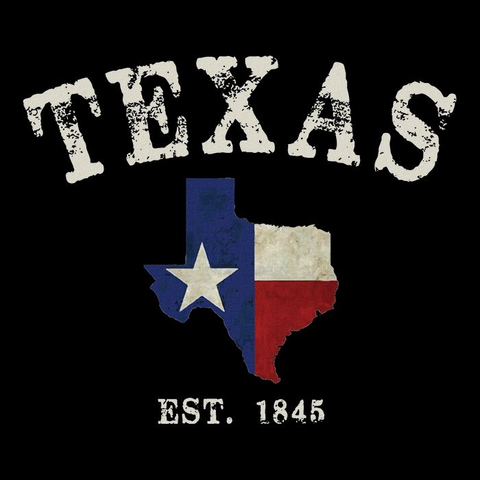 Distressed Texas State Flag Map 16 in Basic Backpack
