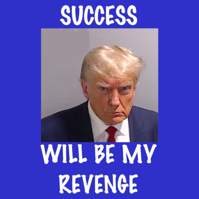 Donald Trump Success Will Be My Revenge Cool Gift Poster