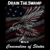 Drain The Swamp With A Convention Of States Stripe Pom Pom Beanie