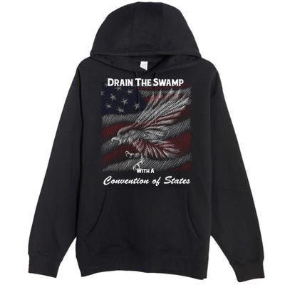 Drain The Swamp With A Convention Of States Premium Pullover Hoodie