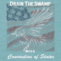 Drain The Swamp With A Convention Of States Sueded Cloud Jersey T-Shirt