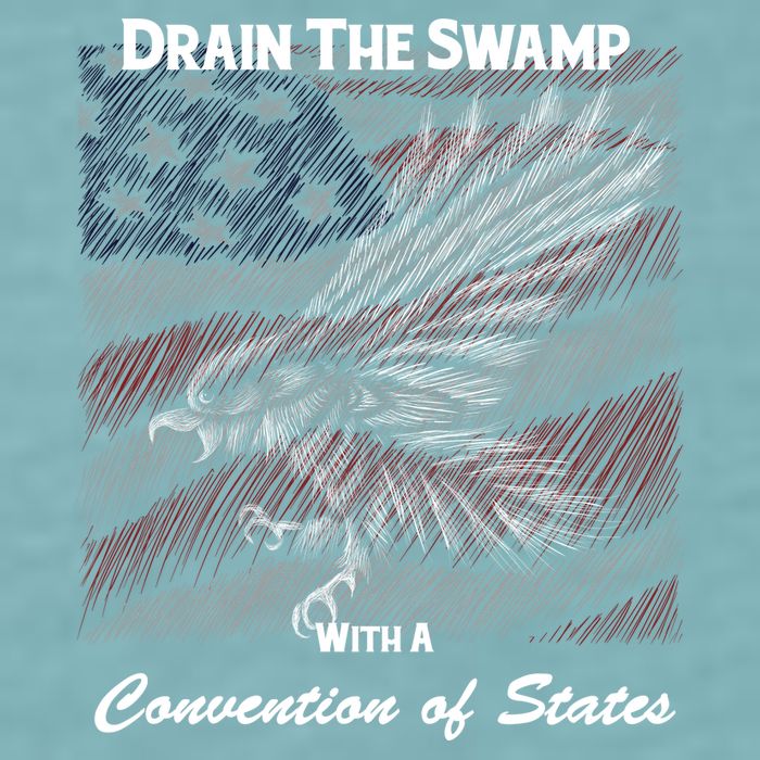 Drain The Swamp With A Convention Of States Sueded Cloud Jersey T-Shirt