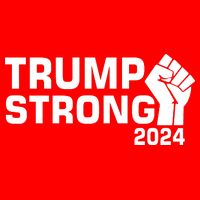 Donald Trump Strong 2024 Poster