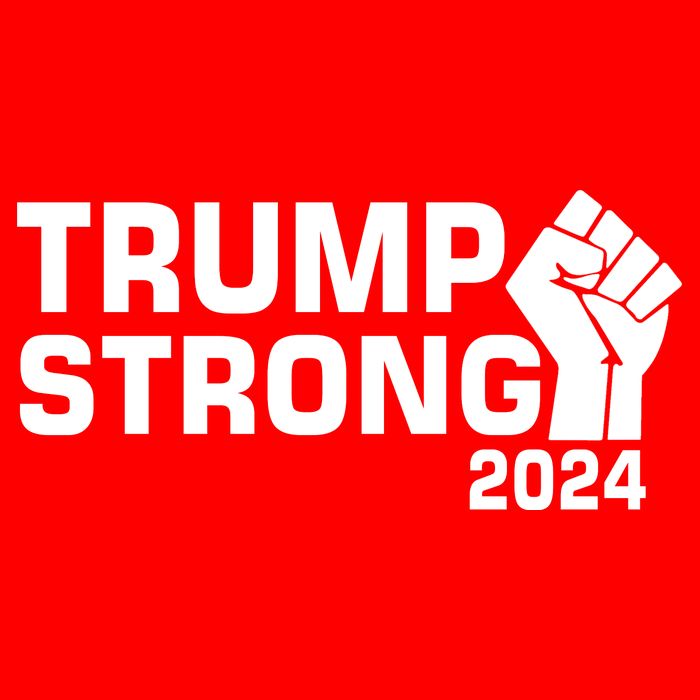 Donald Trump Strong 2024 Poster