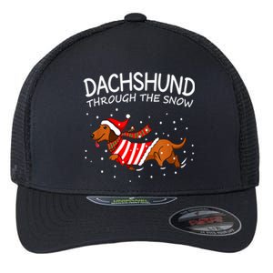 Dachshund Through The White Snow Retro Dachshund Lover Owner Gift Flexfit Unipanel Trucker Cap