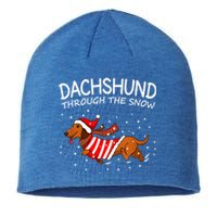 Dachshund Through The White Snow Retro Dachshund Lover Owner Gift Sustainable Beanie