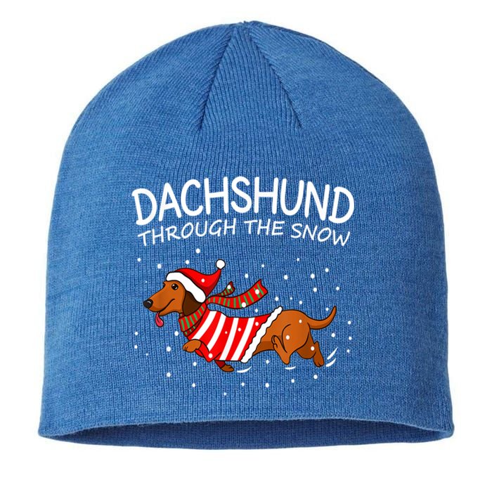 Dachshund Through The White Snow Retro Dachshund Lover Owner Gift Sustainable Beanie