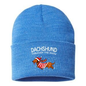 Dachshund Through The White Snow Retro Dachshund Lover Owner Gift Sustainable Knit Beanie