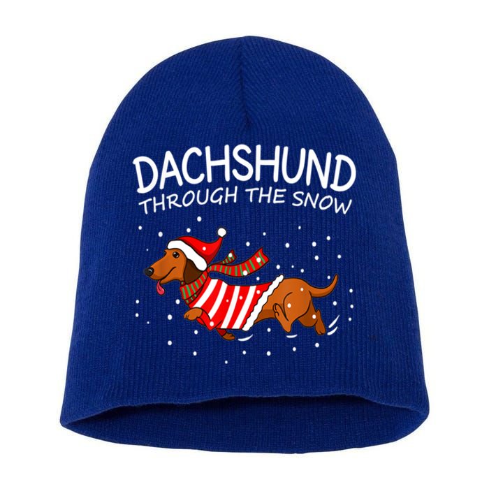 Dachshund Through The White Snow Retro Dachshund Lover Owner Gift Short Acrylic Beanie