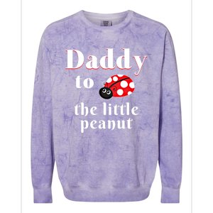 Daddy To The Little Peanut Ladybug Shower Cute Gift Colorblast Crewneck Sweatshirt