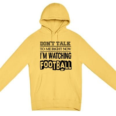 Don't Talk To Me Right Now I'm Watching Football Gift Funny Gift Premium Pullover Hoodie