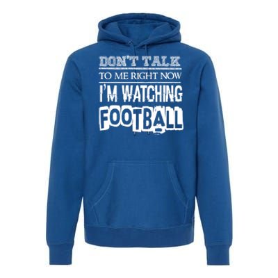 Don't Talk To Me Right Now I'm Watching Football Gift Funny Gift Premium Hoodie