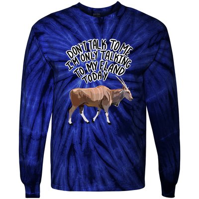 Don’T Talk To Me Tie-Dye Long Sleeve Shirt