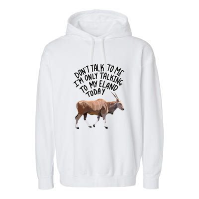 Don’T Talk To Me Garment-Dyed Fleece Hoodie