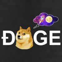 Doge To The Moon Galaxy Cryptocurrency Hat
