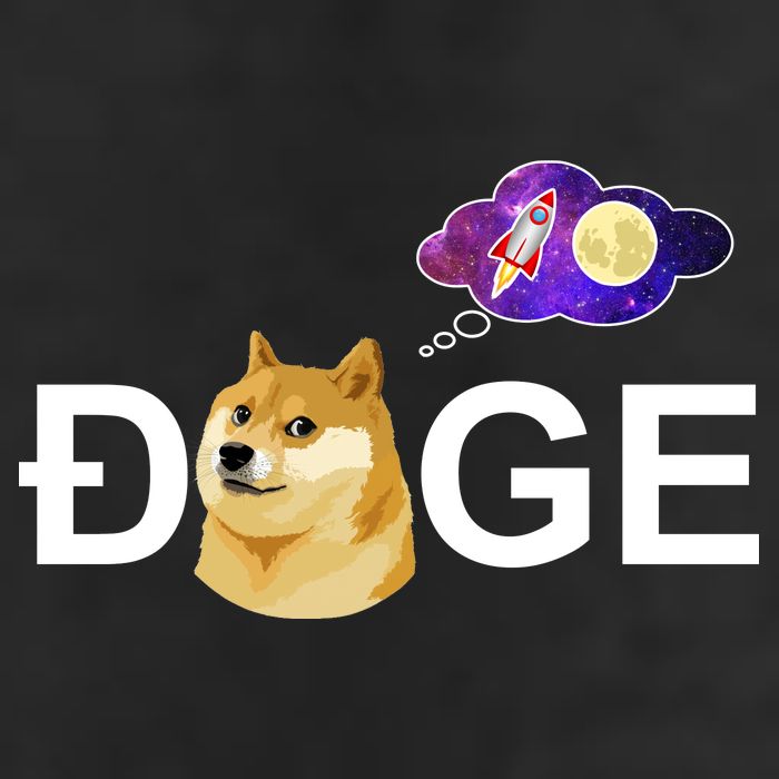 Doge To The Moon Galaxy Cryptocurrency Hat