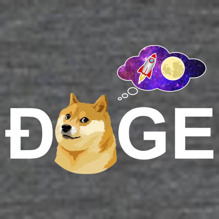 Doge To The Moon Galaxy Cryptocurrency Backpack