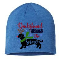 Dachshund Through The Snow Christmas Funny Doxie Dog Lovers Gift Sustainable Beanie