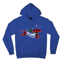 Dachshund Through The Snow Doxie Dog Plaid Christmas Gift Hoodie