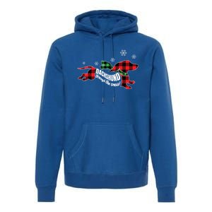 Dachshund Through The Snow Doxie Dog Plaid Christmas Gift Premium Hoodie