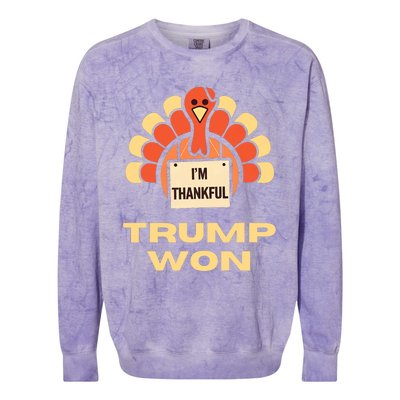 Donald Trump Thanksgiving Im Thankful Donald Won Colorblast Crewneck Sweatshirt