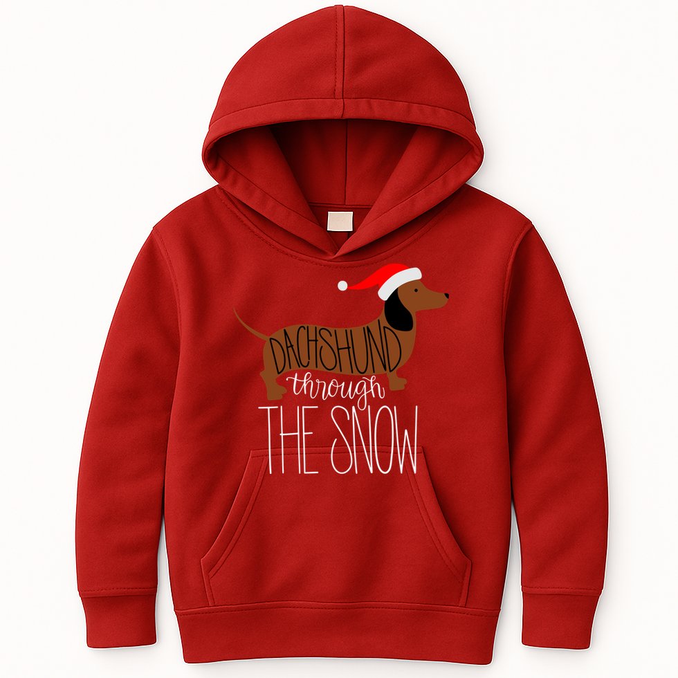 Dachshund Through The Snow Kids Hoodie