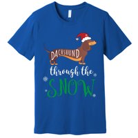 Dachshund Through The Snow Funny Pun Design Gift Premium T-Shirt