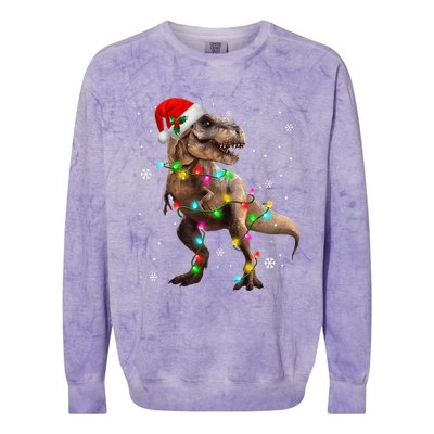 Dinosaur Trex Tree Christmas Sweater Xmas Pet Dino Trex Colorblast Crewneck Sweatshirt