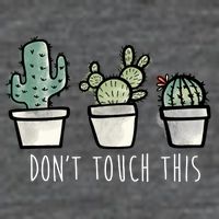 Don't Touch This Funny Cactus Poster