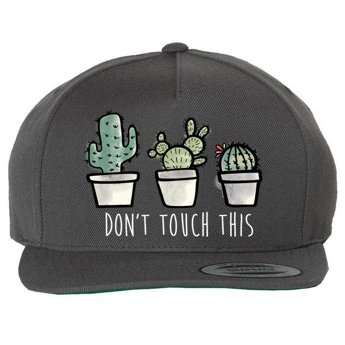 Don't Touch This Funny Cactus Wool Snapback Cap