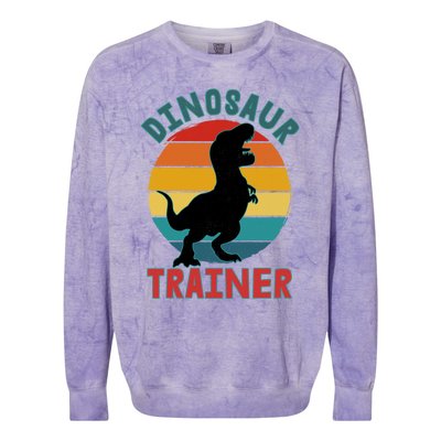 Dinosaur Trainer Trex Halloween Costume Adults Cool Gift Colorblast Crewneck Sweatshirt