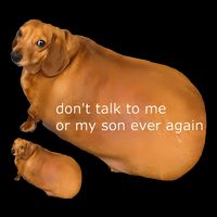 Dont Talk To Me Or My Son Ever Again Geek Dog Backpack