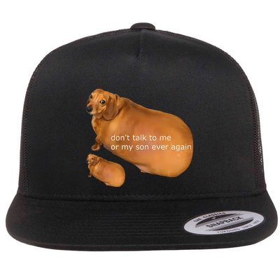 Dont Talk To Me Or My Son Ever Again Geek Dog Flatbill Hat