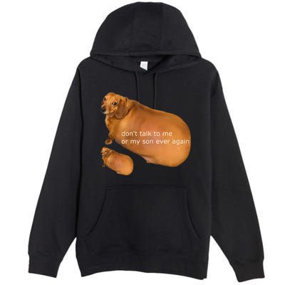 Dont Talk To Me Or My Son Ever Again Geek Dog Premium Pullover Hoodie