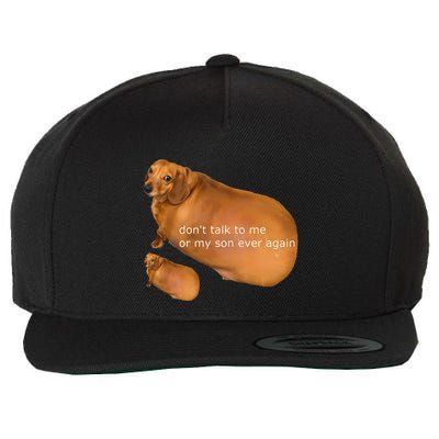 Dont Talk To Me Or My Son Ever Again Geek Dog Wool Snapback Cap