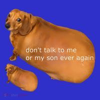Dont Talk To Me Or My Son Ever Again Geek Dog Sustainable Beanie
