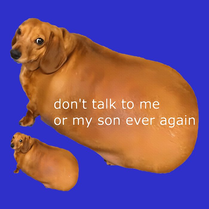 Dont Talk To Me Or My Son Ever Again Geek Dog Poster