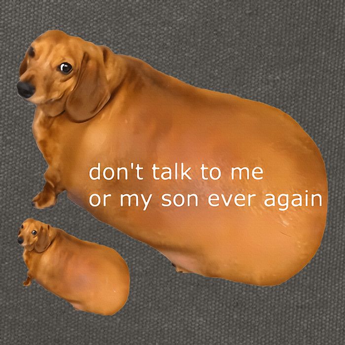 Dont Talk To Me Or My Son Ever Again Geek Dog Cotton Canvas Backpack