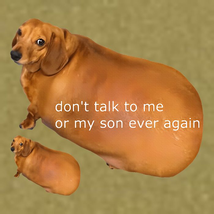 Dont Talk To Me Or My Son Ever Again Geek Dog Garment-Dyed Women's Muscle Tee