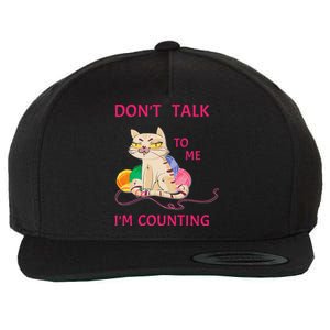 DonT Talk To Me IM Counting Funny Crochet Cat Lover Wool Snapback Cap