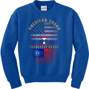 Distressed Tree Usa Flag American Grown Taiwanese Roots Gift Kids Sweatshirt