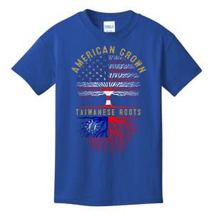 Distressed Tree Usa Flag American Grown Taiwanese Roots Gift Kids T-Shirt